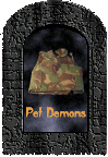 PET DEMONS ~ pick up the body armour and follow me to check on My Lair's beloved pets. (They are quite sweet, really!)